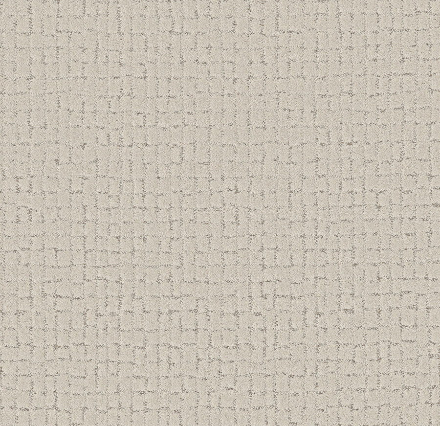 Shaw Floors - Carpet - Pet Perfect + Collection - Block Party - 12' - Almond Silk