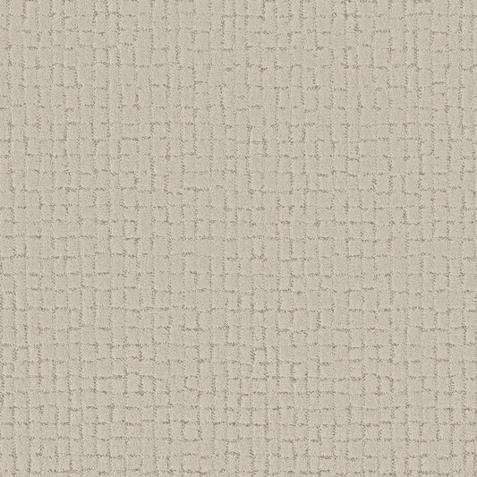 Shaw Floors - Carpet - Pet Perfect + Collection - Block Party - 12' - Natural