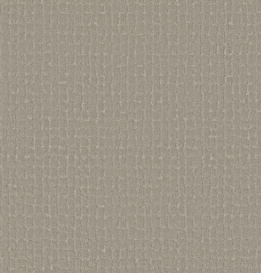 Shaw Floors - Carpet - Pet Perfect + Collection - Block Party - 12' - Sculpture