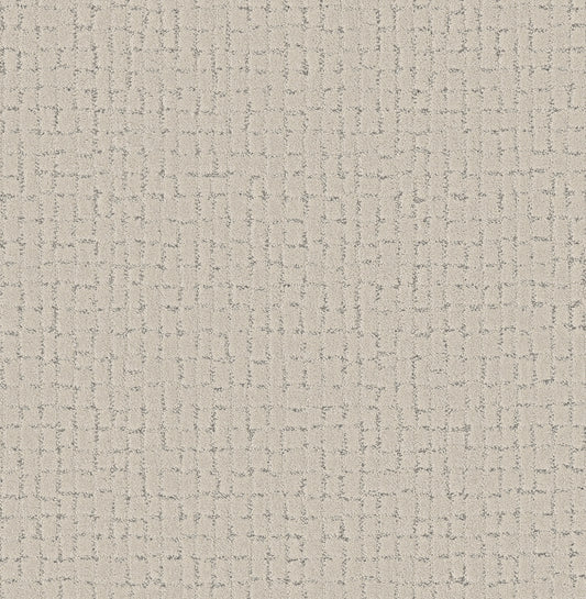 Shaw Floors - Carpet - Pet Perfect + Collection - Block Party - 12' - Snowfall
