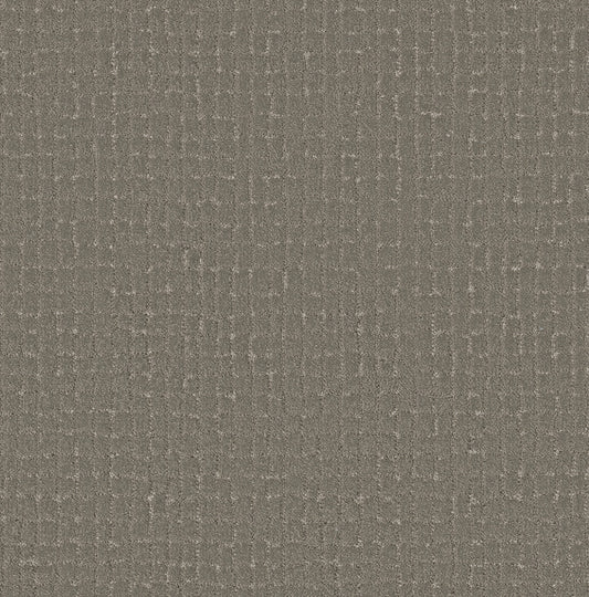 Shaw Floors - Carpet - Pet Perfect + Collection - Block Party - 12' - Ashes
