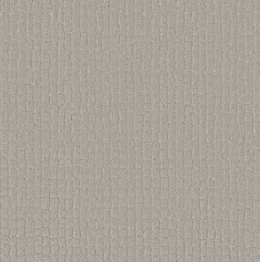 Shaw Floors - Carpet - Pet Perfect + Collection - Block Party - 12' - Rock Crystal