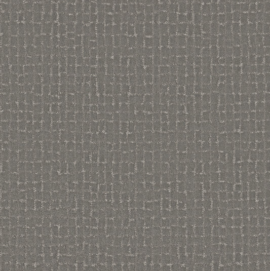 Shaw Floors - Carpet - Pet Perfect + Collection - Block Party - 12' - Vintage