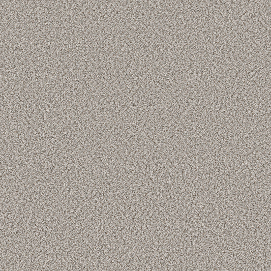 Shaw Floors - Carpet - Simply the Best Values Collection - Feelin' Alright - 12' - Buff