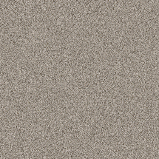 Shaw Floors - Carpet - Simply the Best Values Collection - Feelin' Alright - 12' - Almond