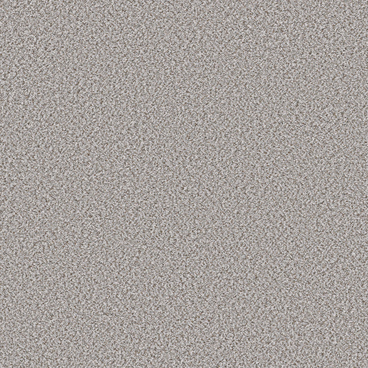 Shaw Floors - Carpet - Simply the Best Values Collection - Feelin' Alright - 12' - Snow Peak