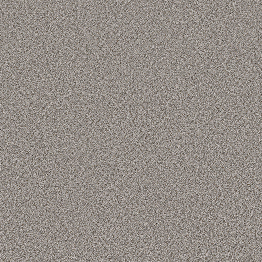 Shaw Floors - Carpet - Simply the Best Values Collection - Feelin' Alright - 12' - Exposed Beam