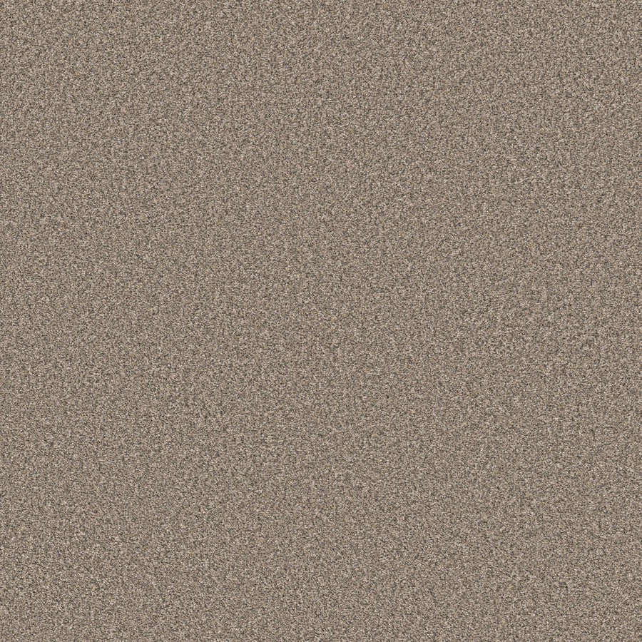 Shaw Floors - Carpet - Simply the Best Values Collection - New Attitude - 12' - Desert Dune