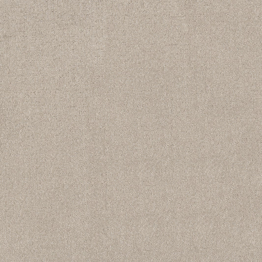 Shaw Floors - Carpet - Pet Perfect + Collection - Secret Destination - 12' - Beige Mist