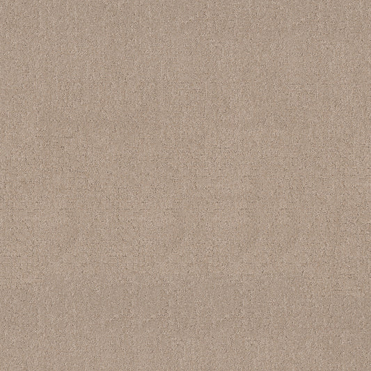 Shaw Floors - Carpet - Pet Perfect + Collection - Secret Destination - 12' - Baja