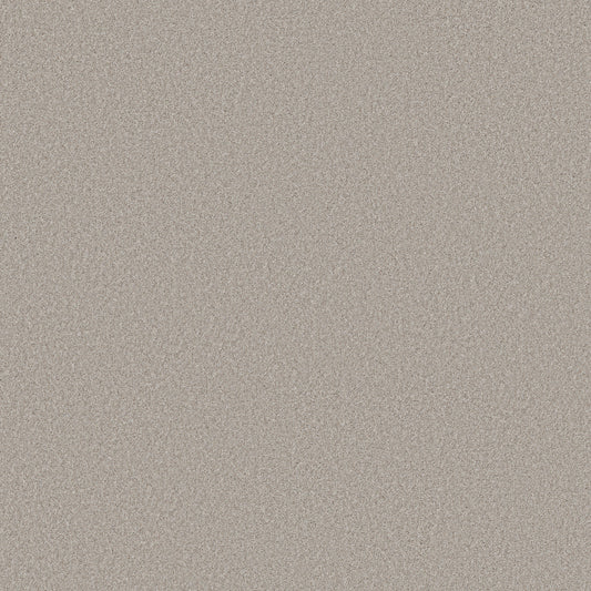 Shaw Floors - Carpet - Simply the Best Values Collection - Wonderland II - 12' - Antiquity