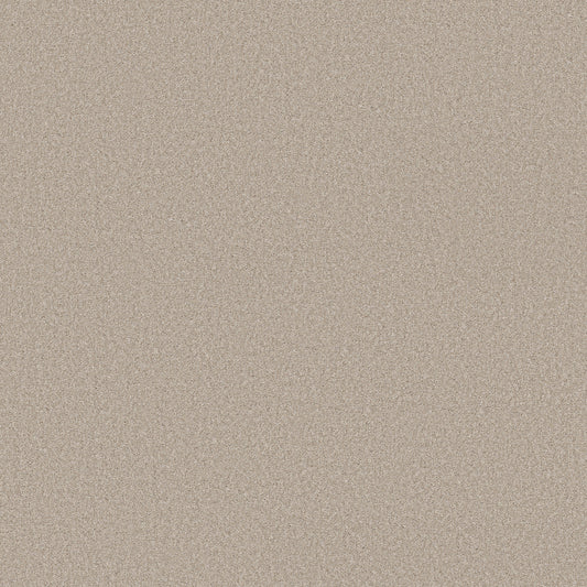 Shaw Floors - Carpet - Simply the Best Values Collection - Wonderland II - 12' - Outer Banks