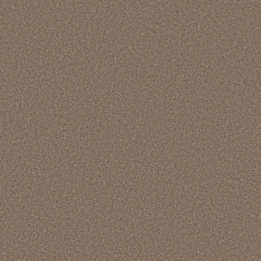 Shaw Floors - Carpet - Simply the Best Values Collection - Wonderland II - 12' - Slate