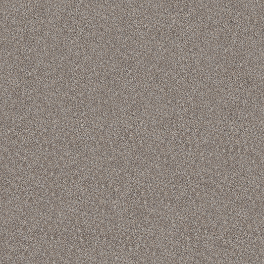 Shaw Floors - Carpet - Pet Perfect + Collection - Refined Beauty - 12' - Perfection