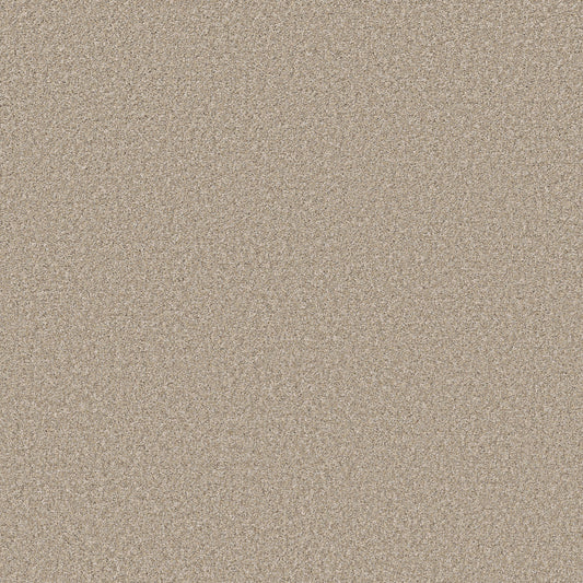 Shaw Floors - Carpet - Pet Perfect + Collection - Refined Beauty - 12' - Warm Glow