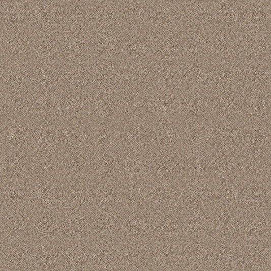 Shaw Floors - Carpet - Pet Perfect+ Collection - Refined Beauty - 12' - Summer Straw