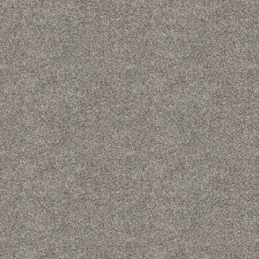 Shaw Floors - Carpet - Pet Perfect+ Collection - Refined Beauty - 12' - River Rock