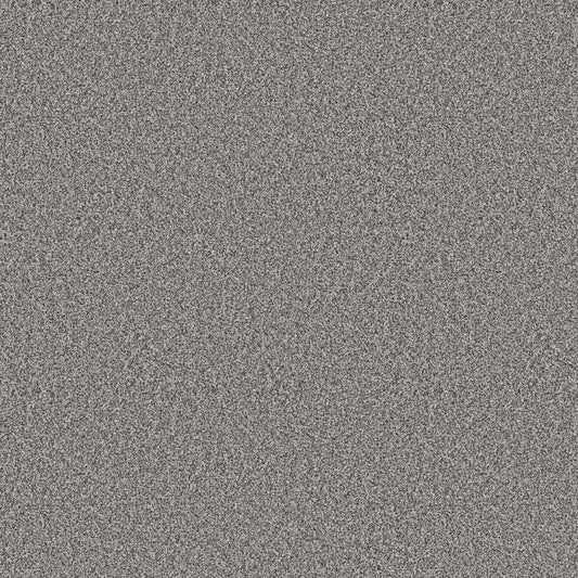 Shaw Floors - Carpet - Pet Perfect+ Collection - Refined Beauty - 12' - London Fog