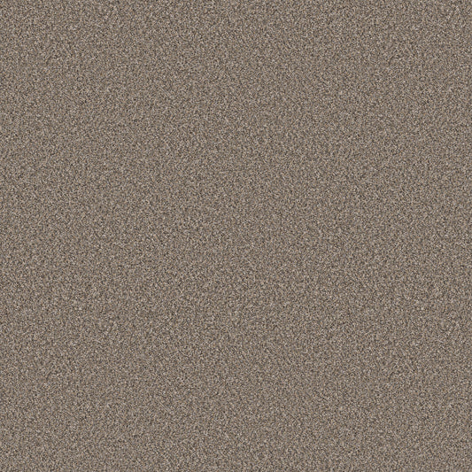 Shaw Floors - Carpet - Pet Perfect+ Collection - Refined Beauty - 12' - Prairie