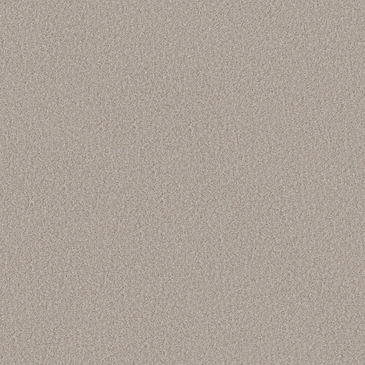 Shaw Floors - Carpet - Simply the Best Values Collection - Wonderland I - 12' - Silence