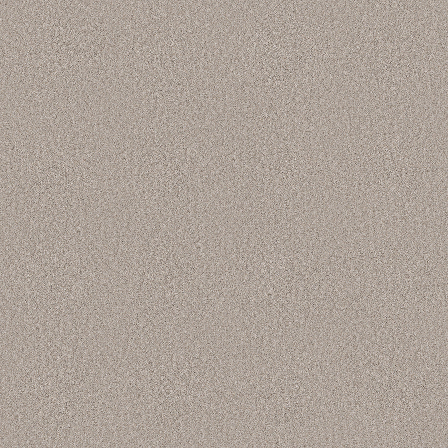 Shaw Floors - Carpet - Simply the Best Values Collection - Wonderland I - 12' - Silence