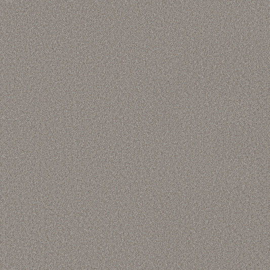 Shaw Floors - Carpet - Simply the Best Values Collection - Wonderland I - 12' - Greige