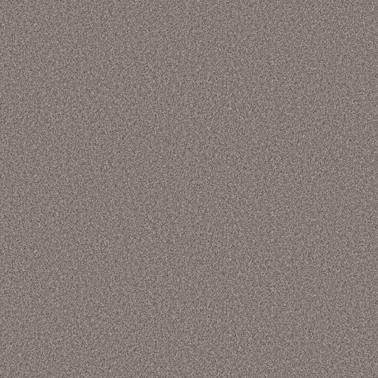 Shaw Floors - Carpet - Simply the Best Values Collection - Wonderland I - 12' - Pier