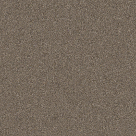 Shaw Floors - Carpet - Simply the Best Values Collection - Wonderland I - 12' - Smoked Tan