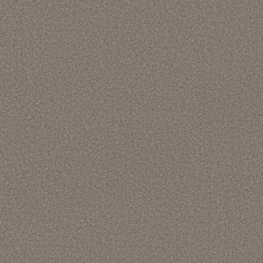 Shaw Floors - Carpet - Simply the Best Values Collection - Wonderland I - 12' - Creek Bed