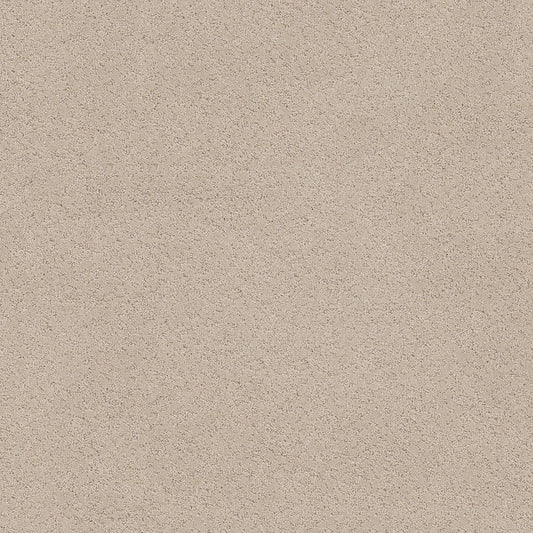 Shaw Floors - Carpet - Pet Perfect+ Collection - Secret Adventure - 12' - Dune View