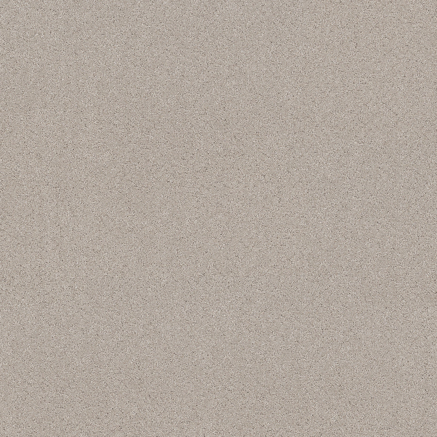 Shaw Floors - Carpet - Pet Perfect+ Collection - Secret Adventure - 12' - Beige Mist