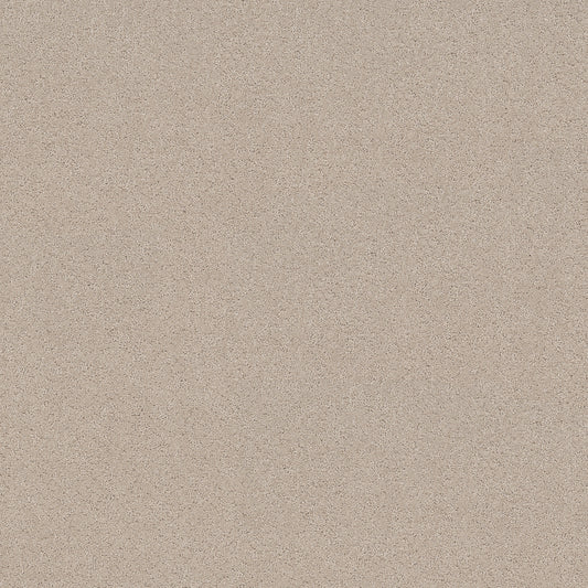 Shaw Floors - Carpet - Pet Perfect+ Collection - Secret Adventure - 12' - Cafe Latte