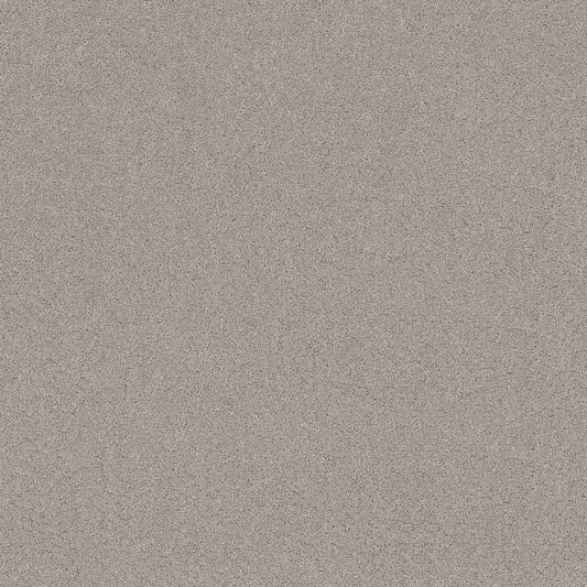 Shaw Floors - Carpet - Pet Perfect+ Collection - Secret Adventure - 12' - Marble