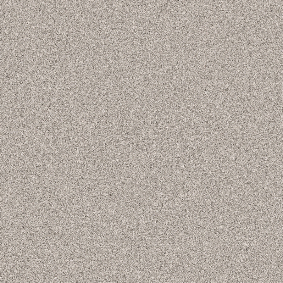 Shaw Floors - Carpet - Pet Perfect Collection - Grand Influence I - 12' - Fresco