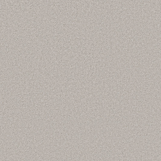Shaw Floors - Carpet - Pet Perfect Collection - Grand Influence I - 12' - London Fog