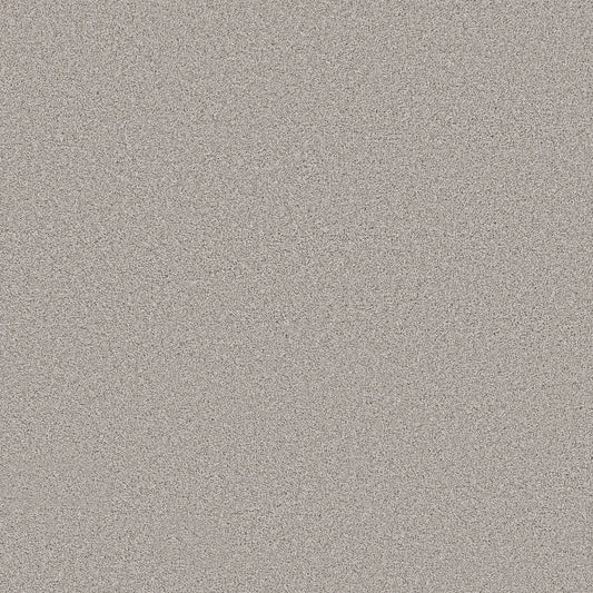 Shaw Floors - Carpet - Pet Perfect Collection - Grand Influence I - 12' - Gentle Wind