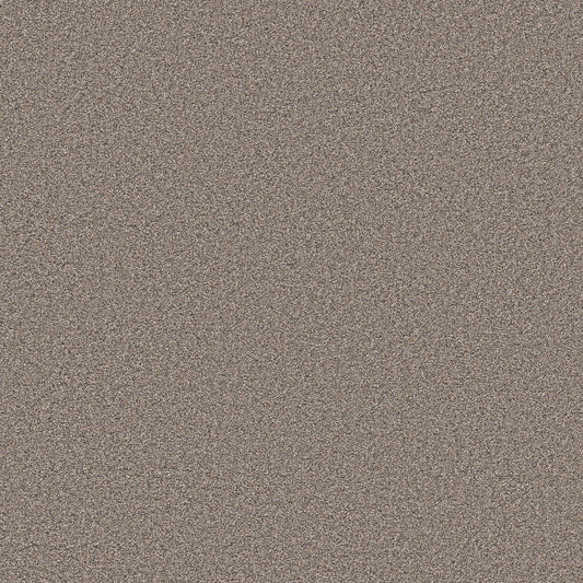 Shaw Floors - Carpet - Pet Perfect Collection - Grand Influence I - 12' - Stepping Stone