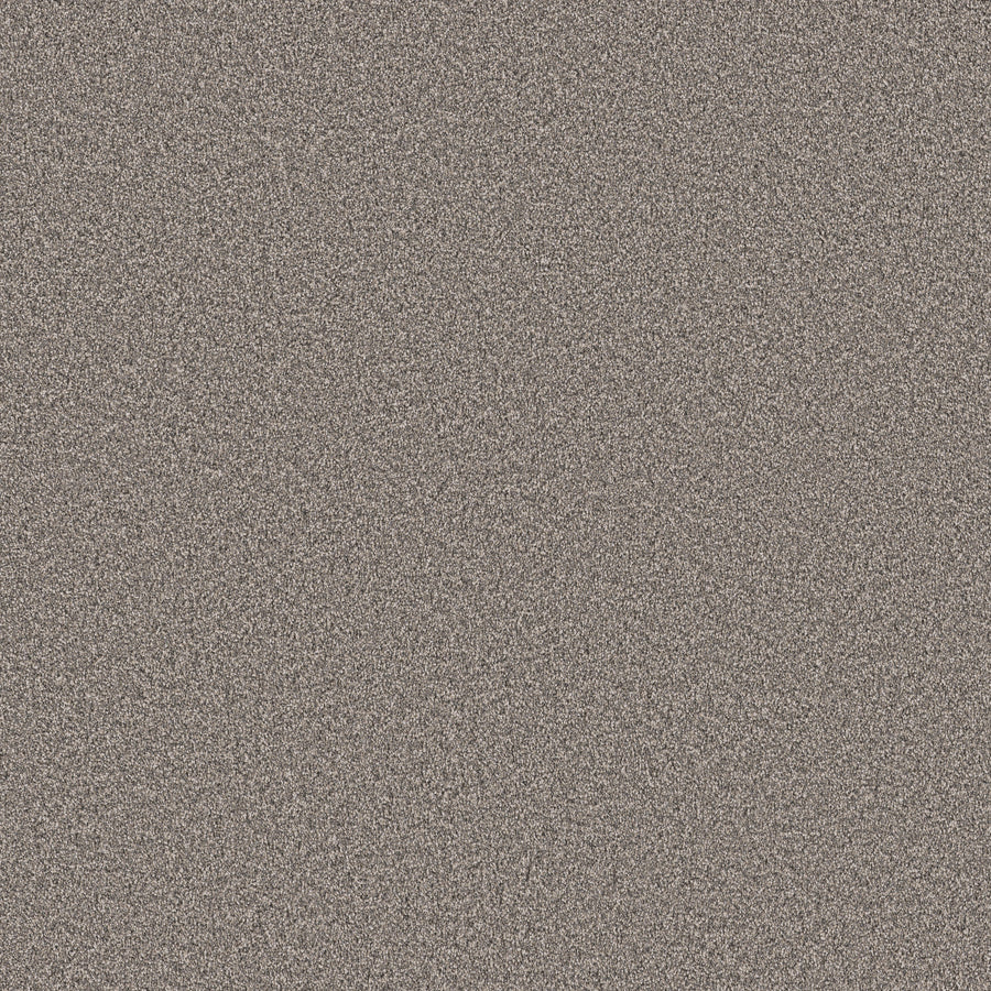 Shaw Floors - Carpet - Pet Perfect Collection - Grand Influence I - 12' - Earth Tone