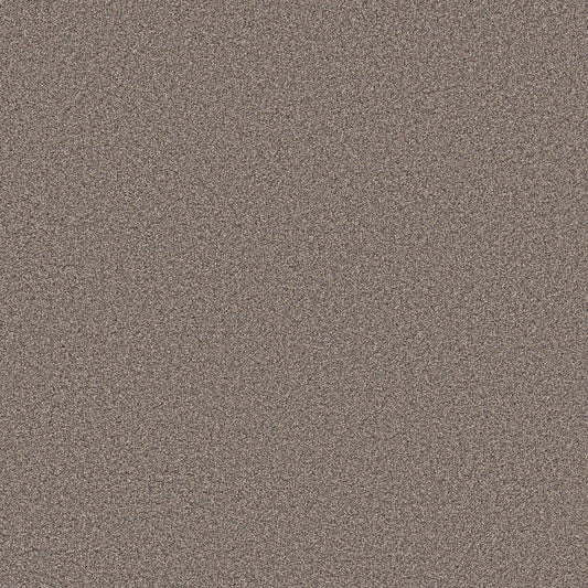 Shaw Floors - Carpet - Pet Perfect Collection - Grand Influence II - 12' - Mushroom