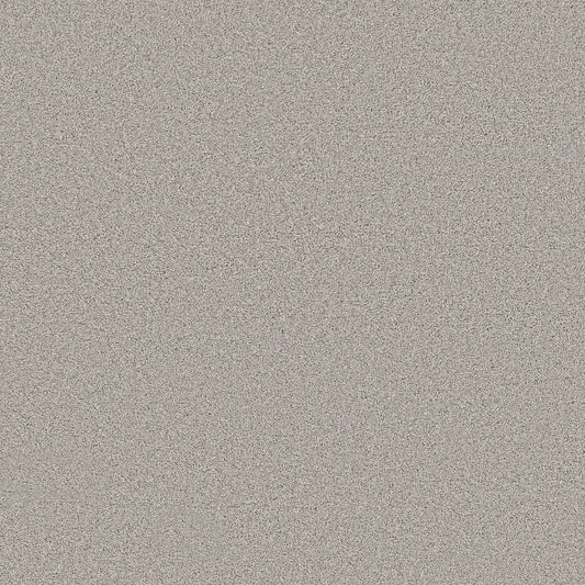 Shaw Floors - Carpet - Pet Perfect Collection - Grand Influence II - 12' - Gentle Wind
