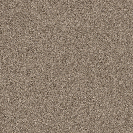 Shaw Floors - Carpet - Pet Perfect Collection - Grand Influence II - 12' - Summer Straw