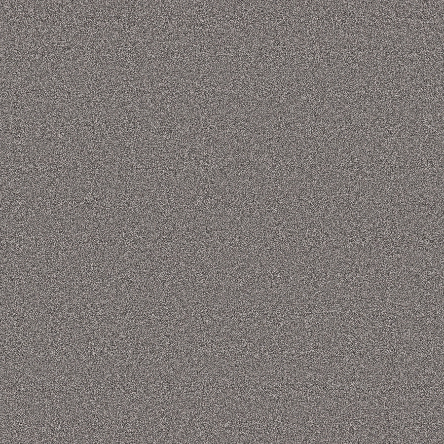 Shaw Floors - Carpet - Pet Perfect Collection - Grand Influence II - 12' - Charcoal Luster