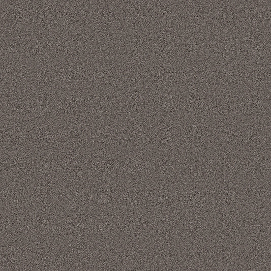 Shaw Floors - Carpet - Pet Perfect Collection - Grand Influence II - 12' - Knighthood