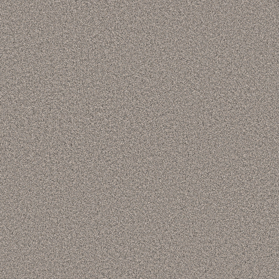 Shaw Floors - Carpet - Pet Perfect Collection - Grand Influence II - 12' - Platinum
