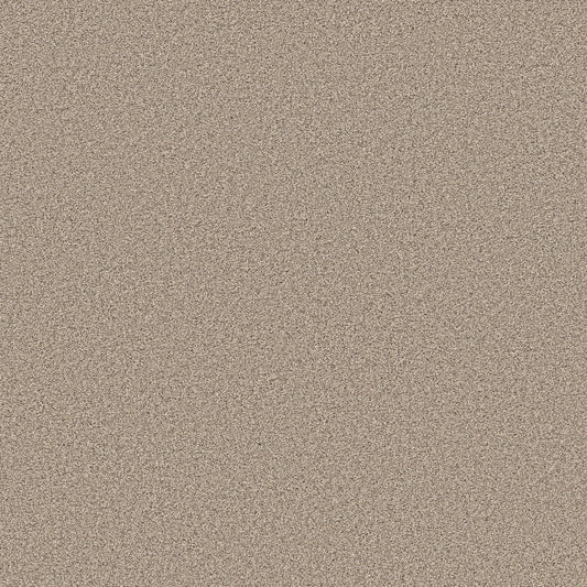 Shaw Floors - Carpet - Pet Perfect Collection - Grand Influence II - 12' - Sand Hill