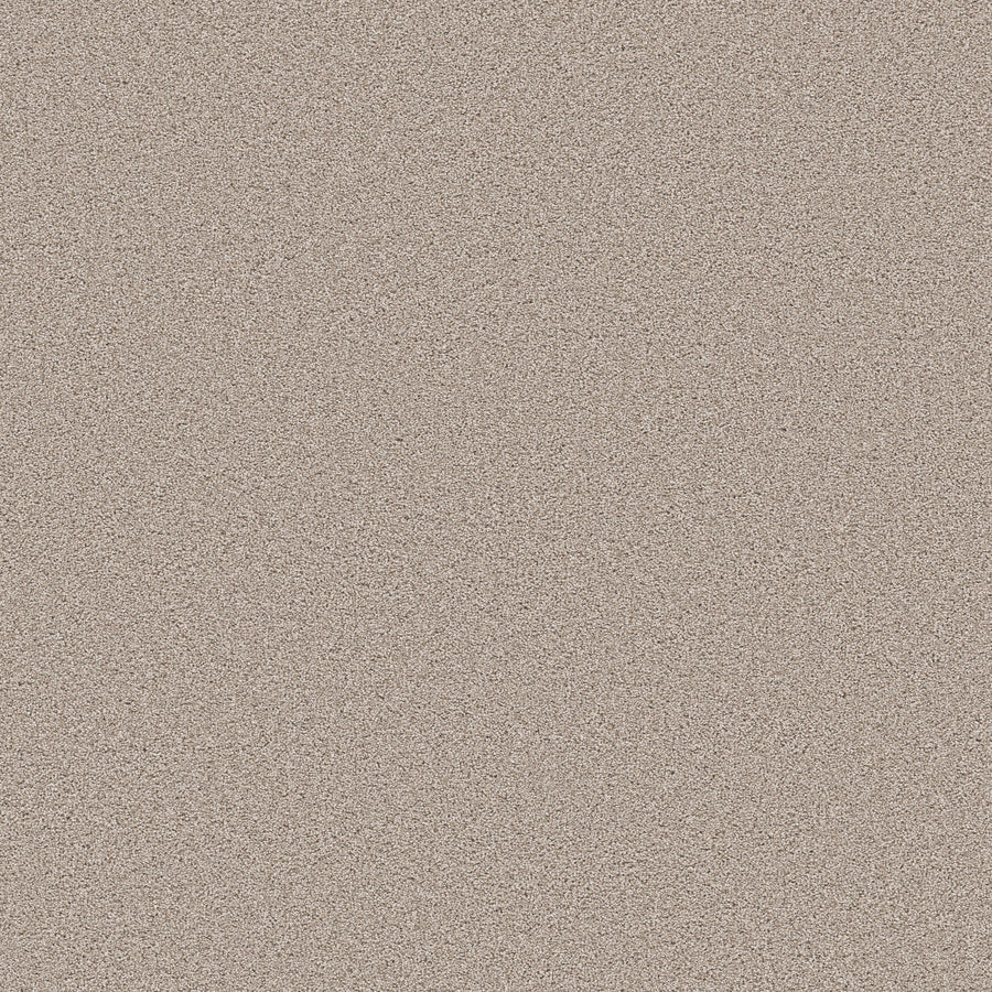 Shaw Floors - Carpet - Pet Perfect Collection - Grand Influence II - 12' - Pebble