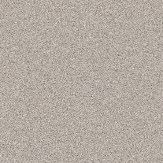 Shaw Floors - Carpet - Pet Perfect Collection - Grand Influence III - 12' - Fresco