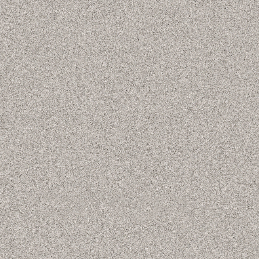 Shaw Floors - Carpet - Pet Perfect Collection - Grand Influence III - 12' - London Fog