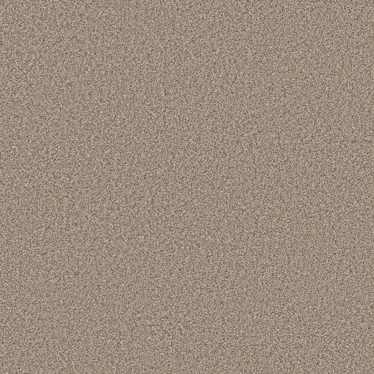 Shaw Floors - Carpet - Pet Perfect Collection - Grand Influence III - 12' - Stucco