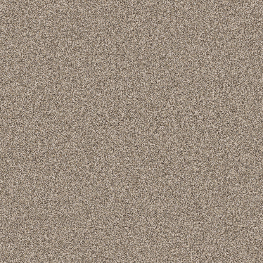 Shaw Floors - Carpet - Pet Perfect Collection - Grand Influence III - 12' - Stucco
